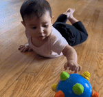 Toyland - Musical Ball for Toddlers and Babies