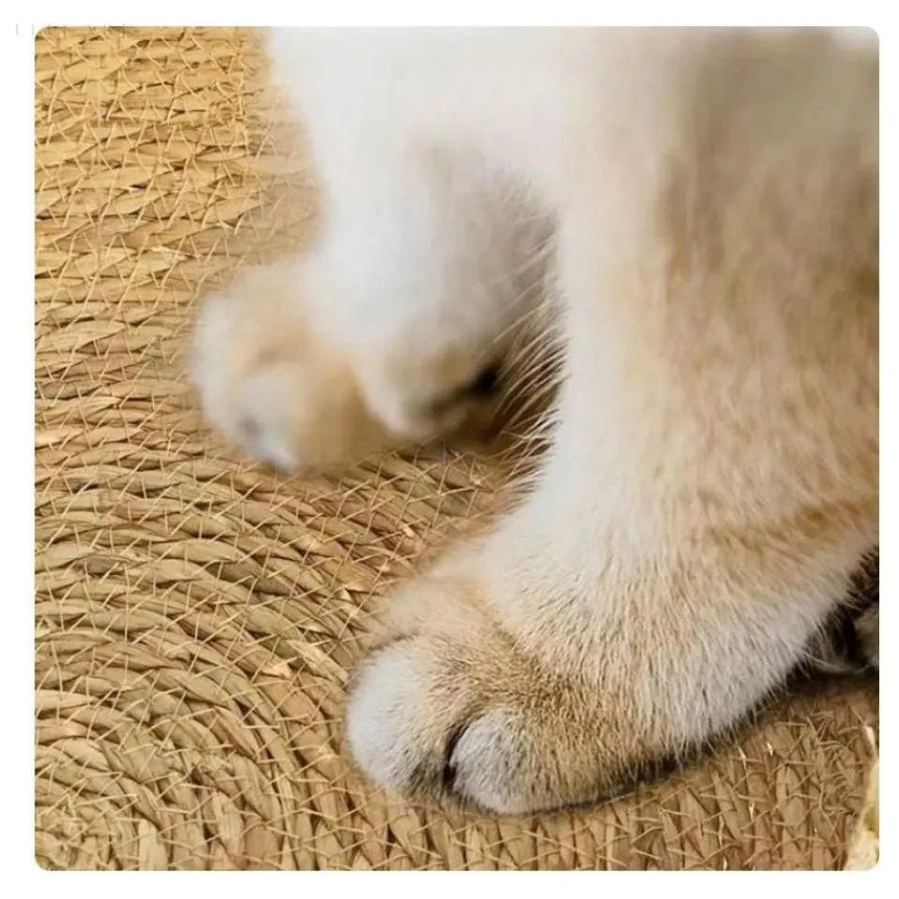Kuscheliges Katzenbett mit Rutschfester Unterlage – Bequeme Donut-Form für Katzen und kleine Haustiere