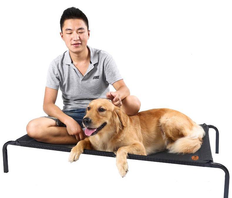 Hochwertiges Mesh-Hundebett mit erhöhtem Design