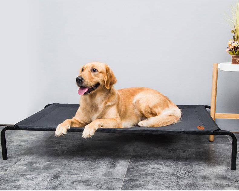 Hochwertiges Mesh-Hundebett mit erhöhtem Design