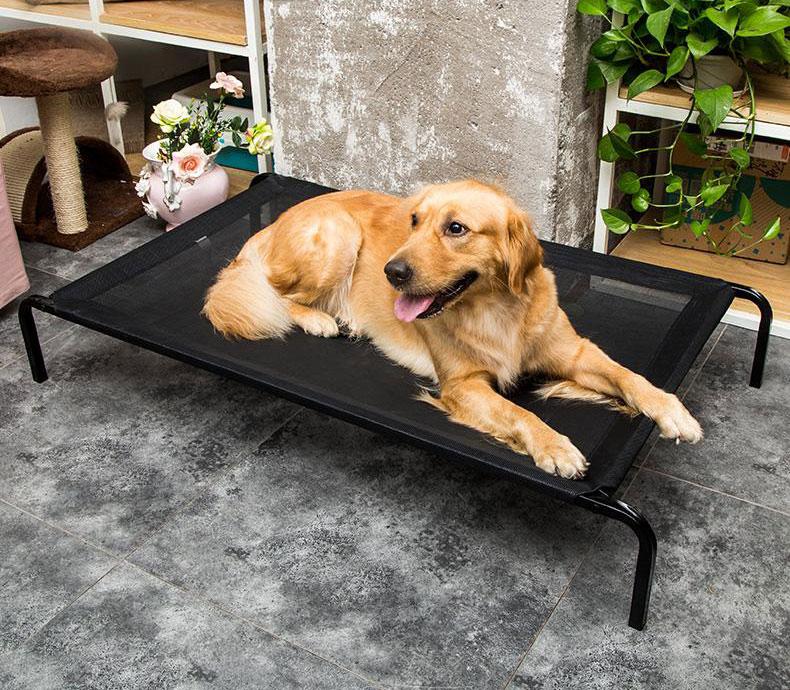 Hochwertiges Mesh-Hundebett mit erhöhtem Design