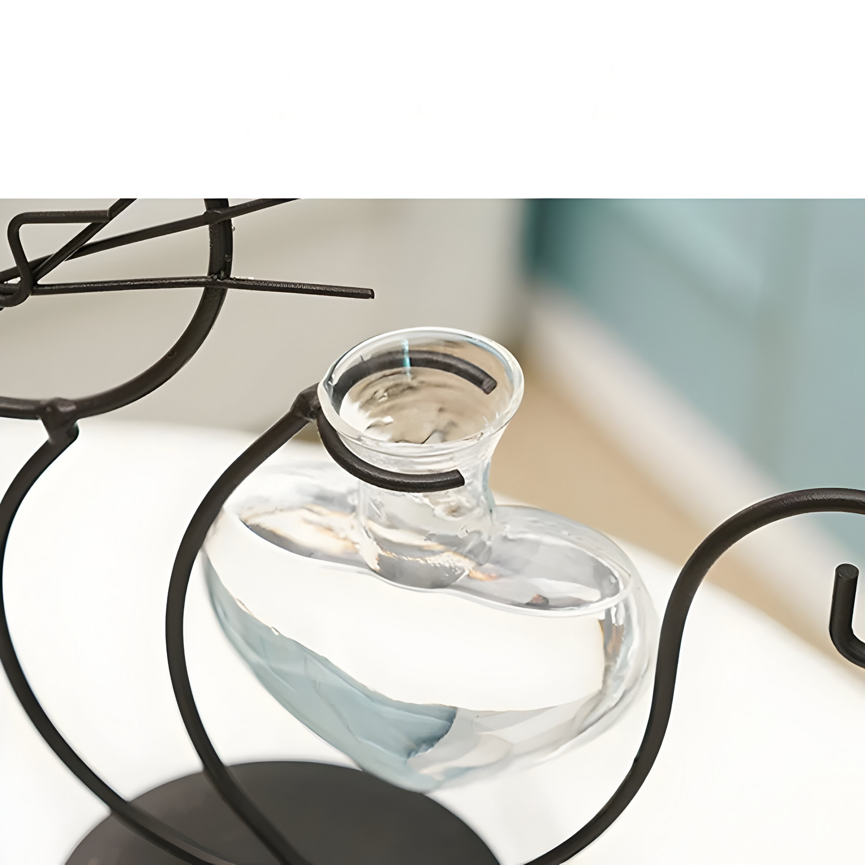 Elegante Herzvase mit Katzenhalter - Hydroponisches Glasdesign