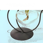 Elegante Herzvase mit Katzenhalter - Hydroponisches Glasdesign