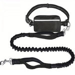 Bequeme Freihand-Hundeleine mit praktischer Tasche