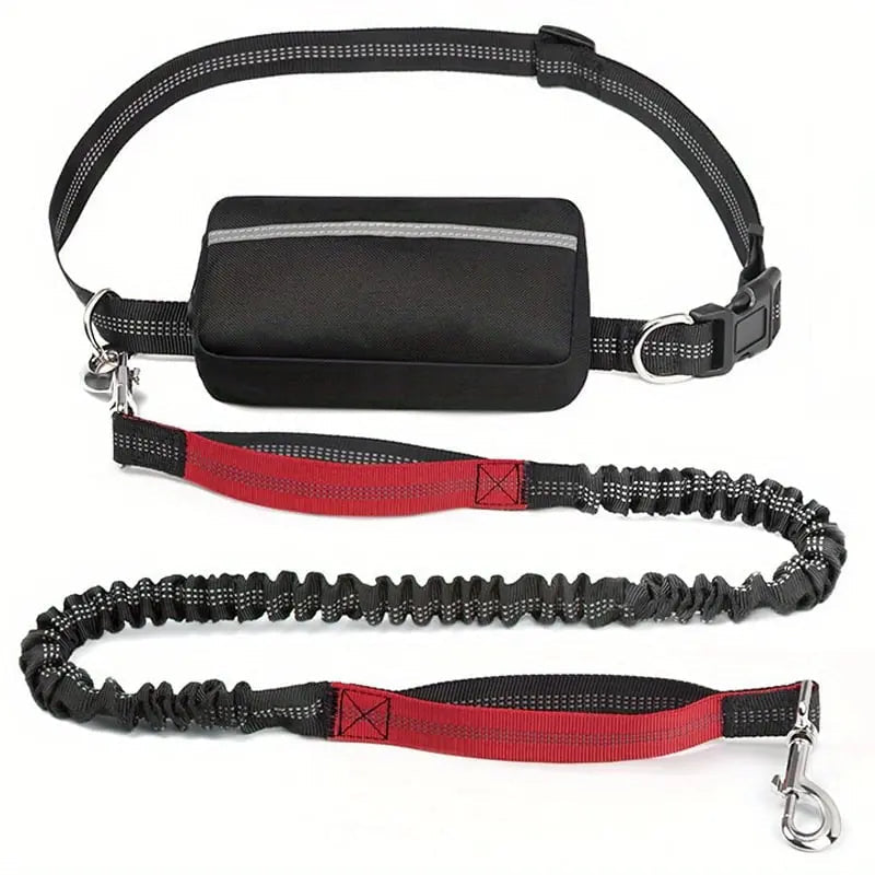 Bequeme Freihand-Hundeleine mit praktischer Tasche