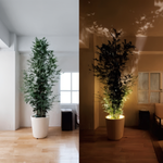 LumosPro | Kompakter Dimmbarer LED Spot | Kabelloses Akzentlicht für Zuhause & Büro