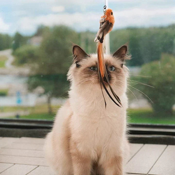 Katzenspielzeug – Interaktiver Vogel für stundenlangen Spaß
