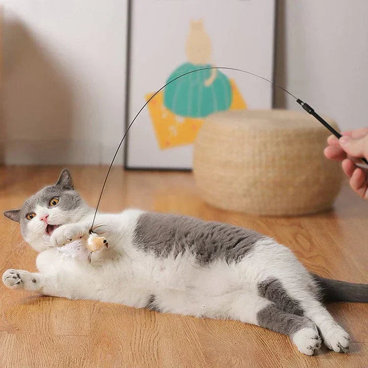 Katzenspielzeug – Interaktiver Vogel für stundenlangen Spaß
