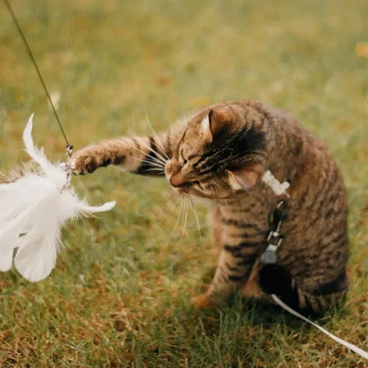Katzenspielzeug – Interaktiver Vogel für stundenlangen Spaß
