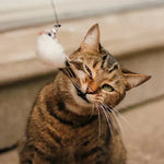 Katzenspielzeug – Interaktiver Vogel für stundenlangen Spaß