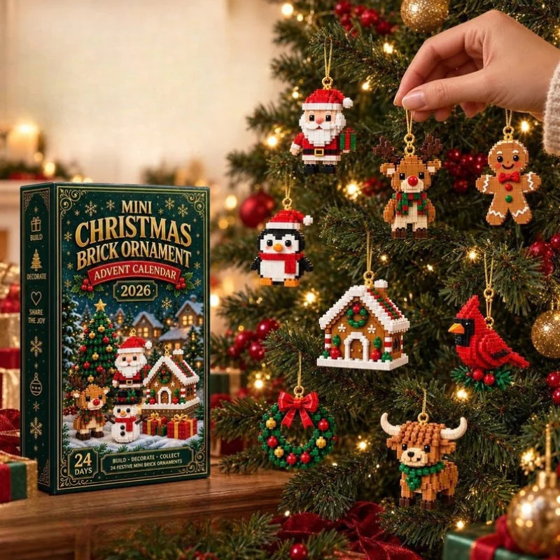 Advent Calendar Buildable Mini Figures Set of 24
