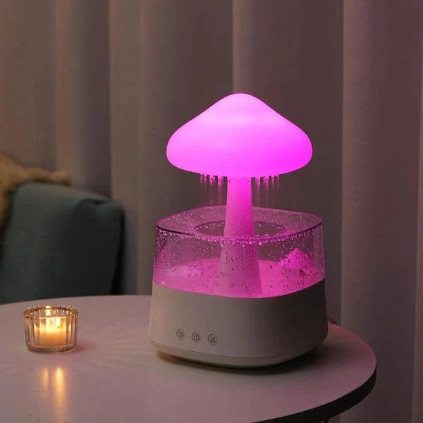 Aromatherapy Diffuser & Humidifier Fine Mist & Night Light