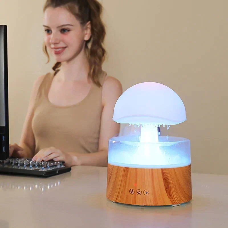 Aromatherapy Diffuser & Humidifier Fine Mist & Night Light