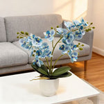 Artificial Orchid Arrangement Lifelike Low-Maintenance Allergen-Free
