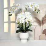 Artificial Orchid Arrangement Realistic Low-Maintenance White Ribbed Pot