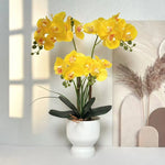 Artificial Orchid Arrangement Realistic Low-Maintenance White Ribbed Pot