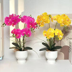 Artificial Orchid Arrangement Realistic Low-Maintenance White Ribbed Pot