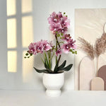 Artificial Orchid Plant Lifelike No Upkeep White Fluted Pot