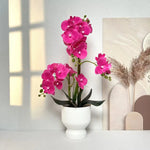 Artificial Orchid Plant Lifelike No Upkeep White Fluted Pot