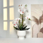 Artificial Orchid Plant Lifelike No Upkeep White Fluted Pot