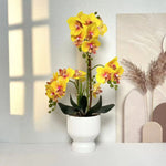 Artificial Orchid Plant Lifelike No Upkeep White Fluted Pot