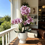 Artificial Orchid Plant Lifelike No Upkeep White Fluted Pot