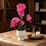 Artificial Orchid Plant Lifelike No Upkeep White Fluted Pot