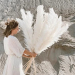 Artificial Pampas Grass 25.6-Inch Maintenance-Free Decor