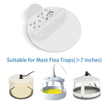 Bed Bug Glue Board Refills Ultra-Sticky 7.1 Inch Pet-Safe