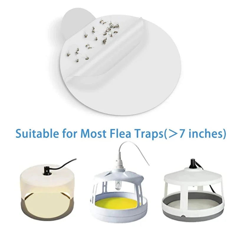 Bed Bug Glue Board Refills Ultra-Sticky 7.1 Inch Pet-Safe