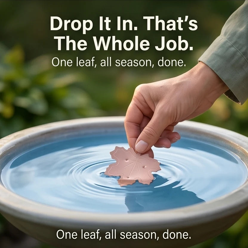 Bird Bath Purifier Pure Copper Algae Control Leaf