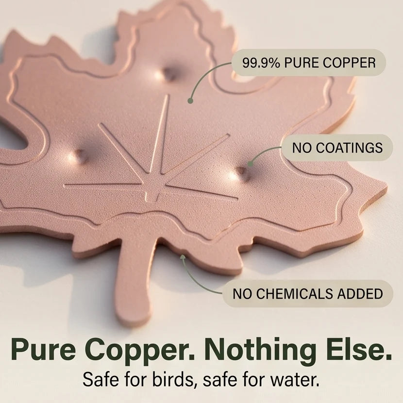 Bird Bath Purifier Pure Copper Algae Control Leaf