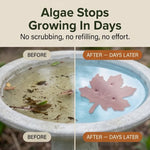 Bird Bath Purifier Pure Copper Algae Control Leaf