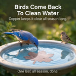 Bird Bath Purifier Pure Copper Algae Control Leaf