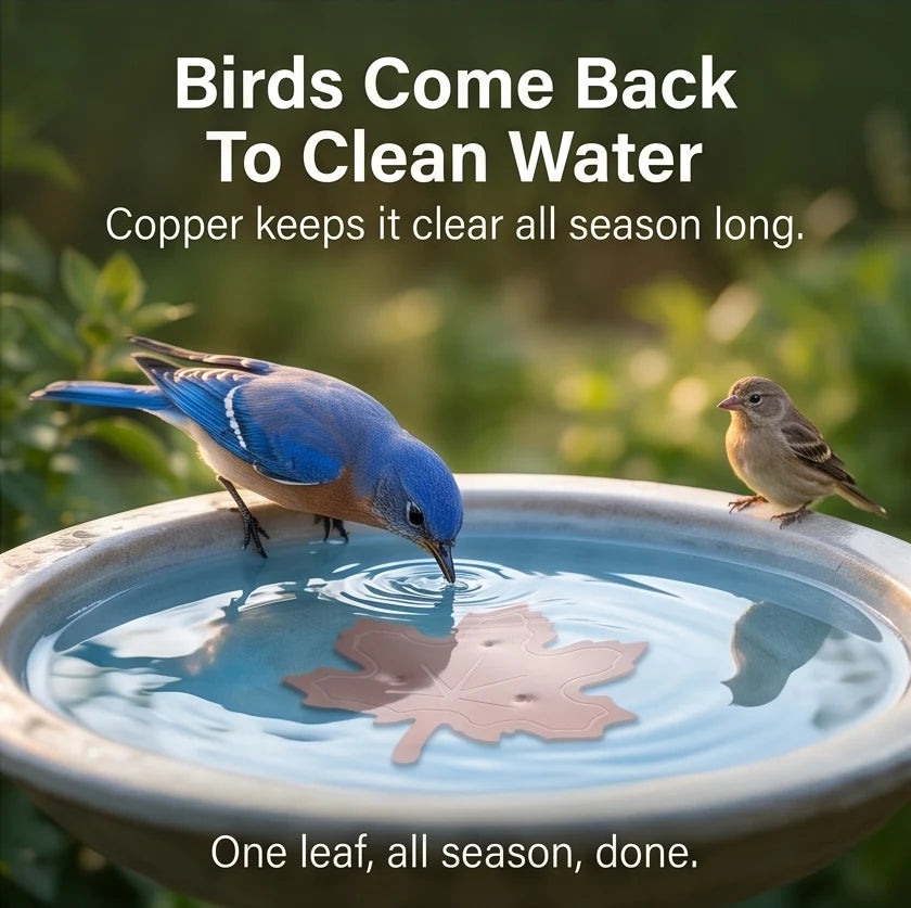 Bird Bath Purifier Pure Copper Algae Control Leaf