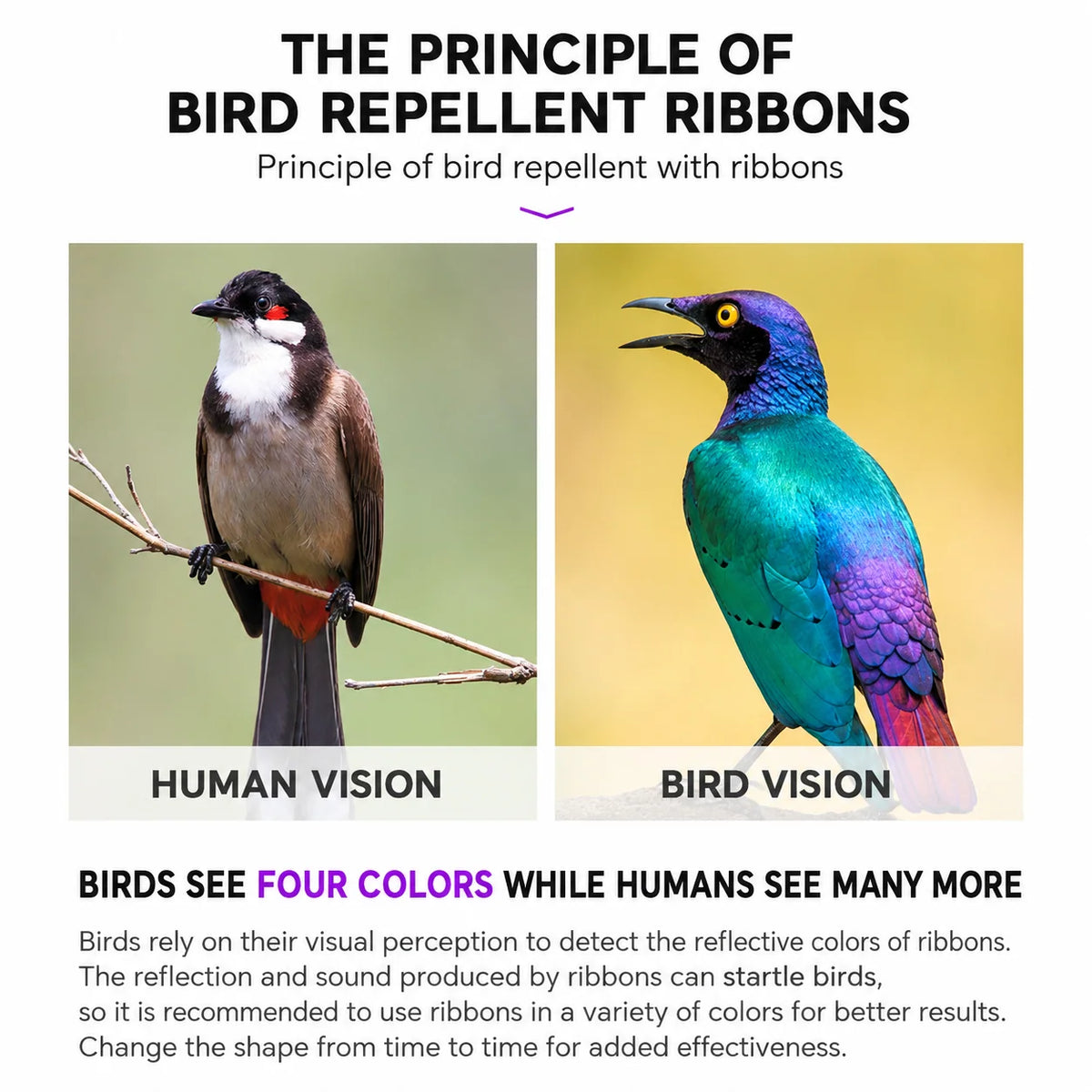 Bird Deterrent Tape Holographic Reflective Weather-Resistant 2 Rolls