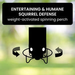 Bird Feeder Squirrel-Proof Weight-Activated Metal Frame
