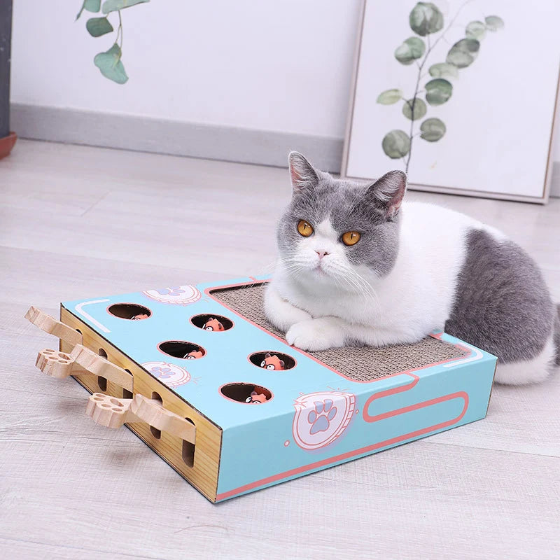 Cat Activity Center 3-in-1 Multi-Level Corrugated Scratcher