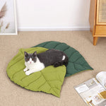 Cat Bed Padded Removable Washable Cushion Foldable Design