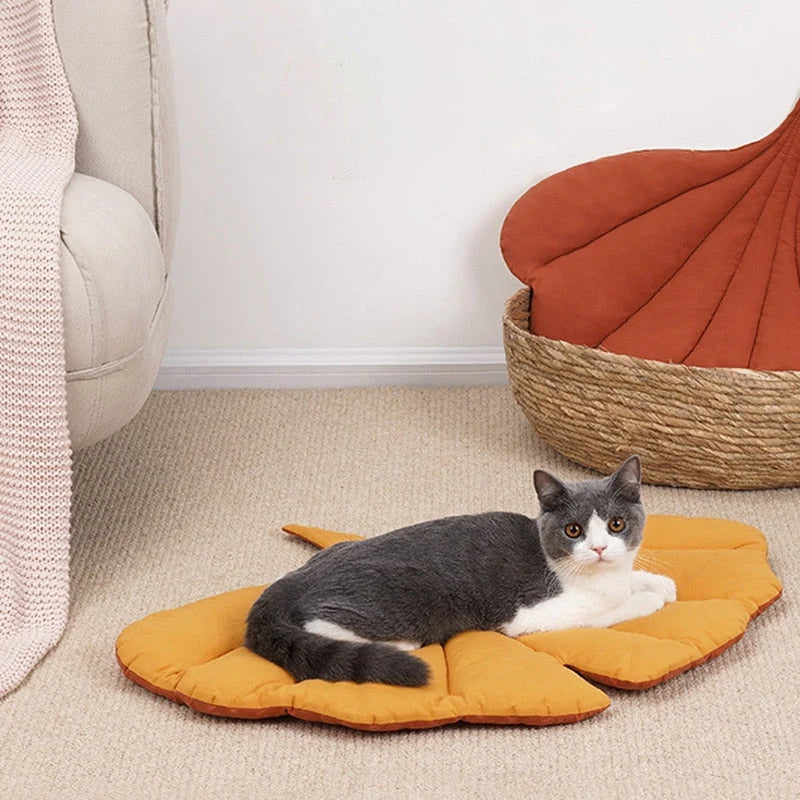 Cat Bed Padded Removable Washable Cushion Foldable Design