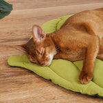 Cat Bed Padded Removable Washable Cushion Foldable Design