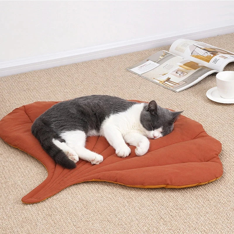 Cat Bed Padded Removable Washable Cushion Foldable Design