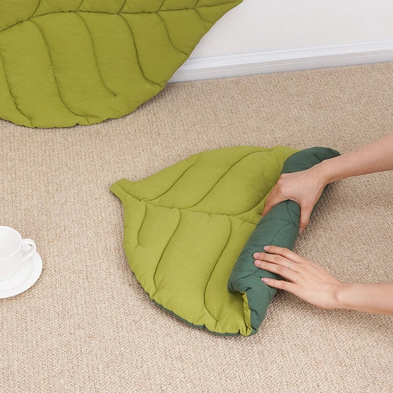 Cat Bed Padded Removable Washable Cushion Foldable Design