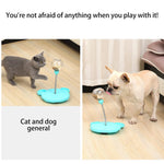 Cat Feeder Ball Interactive Slow-Dispensing With Catnip
