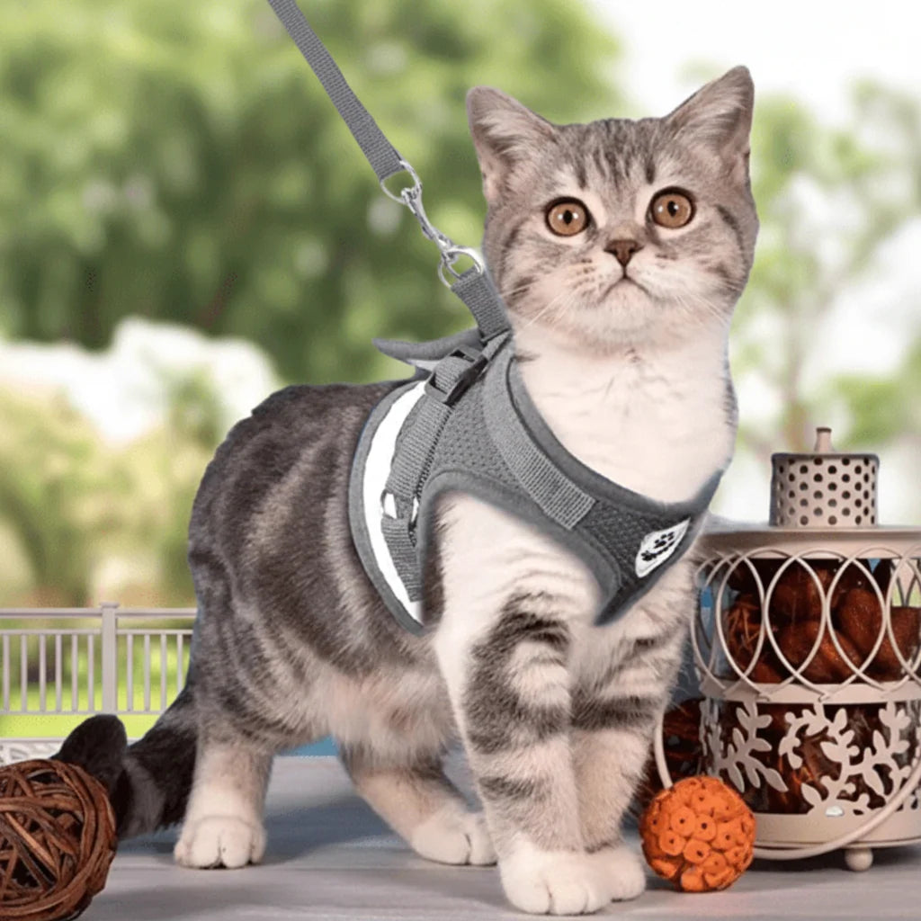Cat Harness Escape-Resistant Adjustable Reflective With Leash