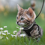 Cat Harness Escape-Resistant Adjustable Reflective With Leash