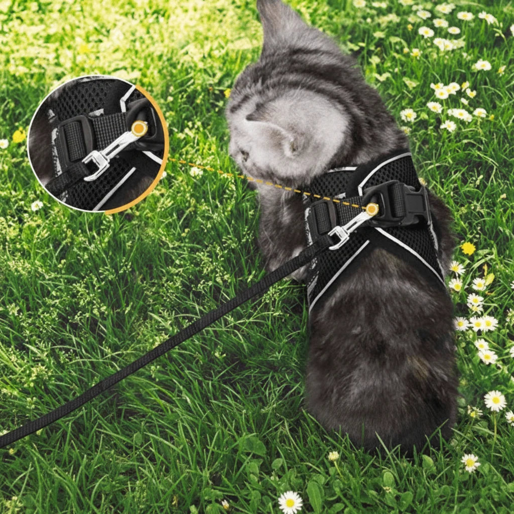 Cat Harness Escape-Resistant Adjustable Reflective With Leash