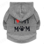 Cat Jacket Security Costume Lightweight & Breathable