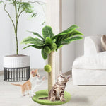 Cat Scratching Post Wooden Tree-Shaped Design