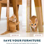 Cat Sofa Scratch Protector Clear Flexible Vinyl